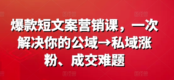 爆款短文案营销课，一次解决你的公域→私域涨粉、成交难题-点子口袋网