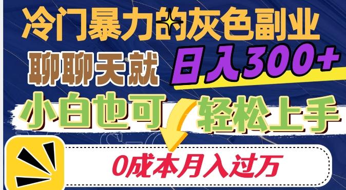 冷门暴利的副业项目，聊聊天就能日入300+，0成本月入过万【揭秘】-点子口袋网