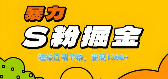 单人单机日引千粉，变现1k+，S粉流量掘金计划攻略【揭秘】-点子口袋网