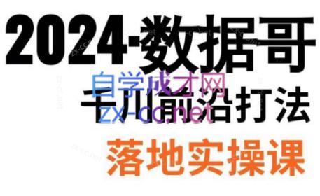 数据哥·2024年千川前沿打法落地实操课-点子口袋网