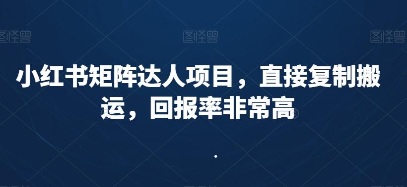 小红书矩阵达人项目，直接复制搬运，回报率非常高-点子口袋网