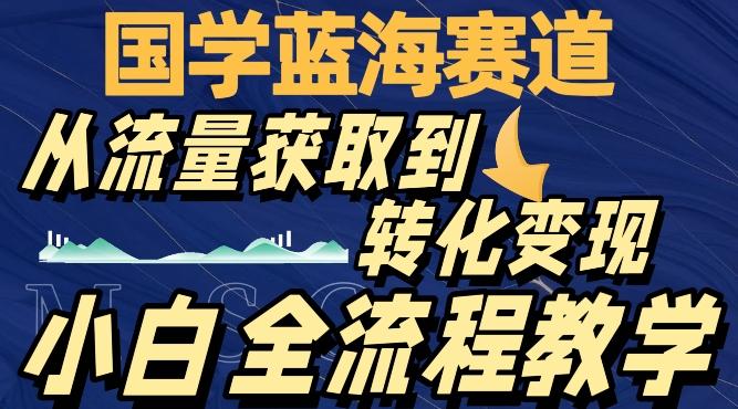 国学蓝海赛道，从流量获取，到转化变现，全流程教学-点子口袋网