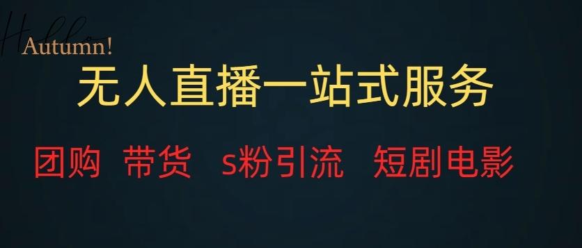 无人直播一站式服务（教程以及变现方式）-点子口袋网