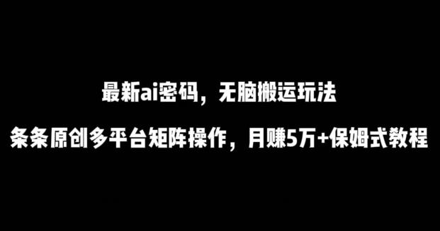 最新ai流量密码，傻瓜式搬运玩法，条条原创，多平台矩阵操作，月赚5万+保姆式教程【揭秘】-点子口袋网