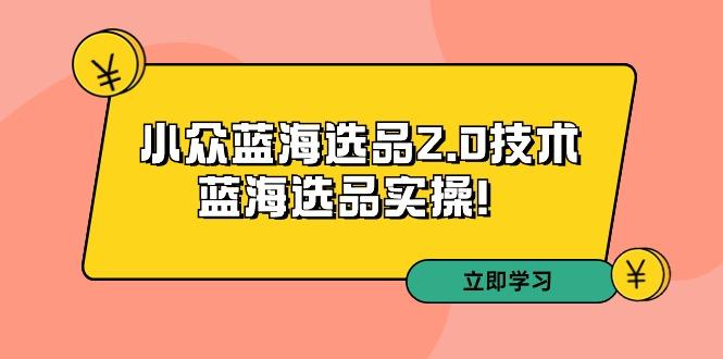 拼多多培训第33期：小众蓝海选品2.0技术-蓝海选品实操！-点子口袋网