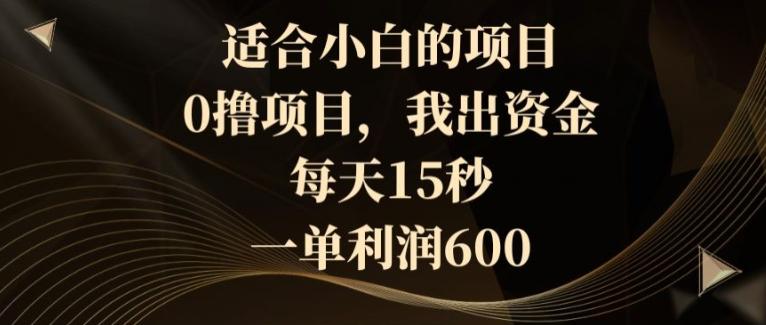 适合小白的项目，0撸项目，我出资金，每天15秒，一单利润600-点子口袋网