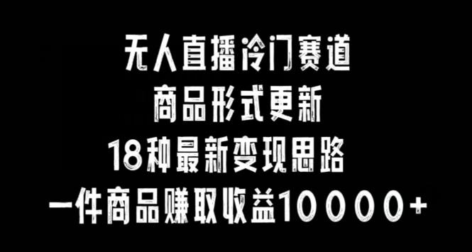 无人直播冷门赛道，商品形式更新，18种变现思路，一件商品赚取收益10000+【揭秘】-点子口袋网