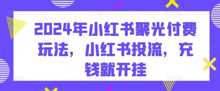 2024年小红书聚光付费玩法，小红书投流，充钱就开挂-点子口袋网
