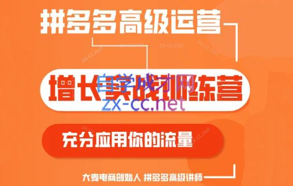 大麦老师·拼多多单品爆款打造课程(更新6月)-点子口袋网