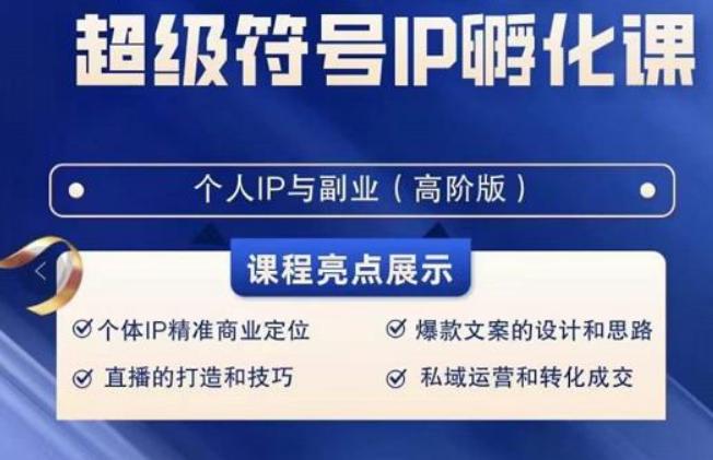 超级符号IP孵化高阶课，建立流量思维底层逻辑，打造属于自己IP（51节课）-点子口袋网