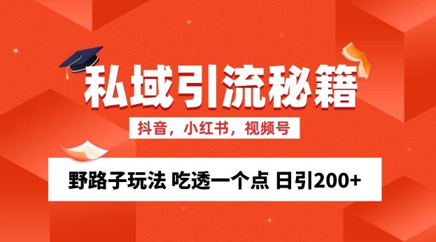 私域流量的精准化获客方法 野路子玩法 吃透一个点 日引200+ 【揭秘】-点子口袋网