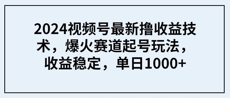 (9651期) 2024视频号最新撸收益技术，爆火赛道起号玩法，收益稳定，单日1000+-点子口袋网