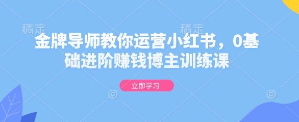 金牌导师教你运营小红书，0基础进阶赚钱博主训练课-点子口袋网