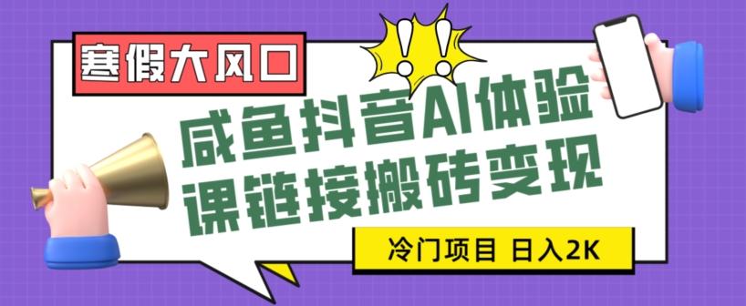 寒假大风口咸鱼抖音AI体验课链接搬砖变现，全网首发冷门项目，小白可日入2K+【揭秘】-点子口袋网