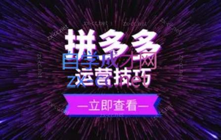 力辛电商·拼多多强付费店群玩法-点子口袋网