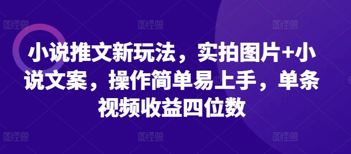 小说推文新玩法，实拍图片+小说文案，操作简单易上手，单条视频收益四位数-点子口袋网