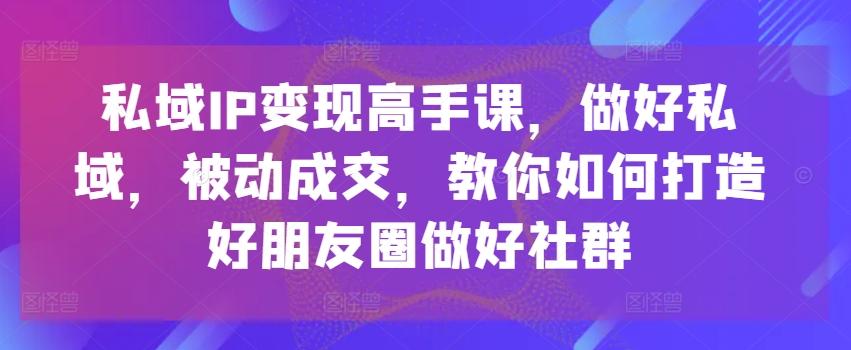 私域IP变现高手课，做好私域，被动成交，教你如何打造好朋友圈做好社群-点子口袋网