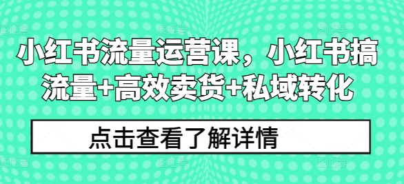 小红书流量运营课，小红书搞流量+高效卖货+私域转化-点子口袋网