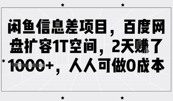 闲鱼信息差项目，百度网盘扩容1T空间，2天收益1k+，人人可做0成本-点子口袋网
