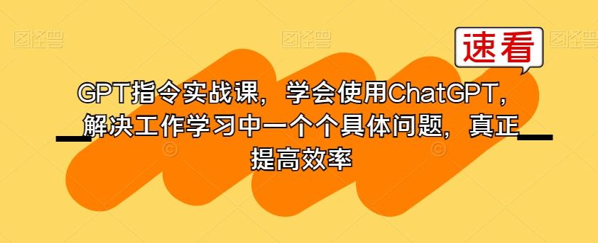 GPT指令实战课，学会使用ChatGPT，解决工作学习中一个个具体问题，真正提高效率-点子口袋网