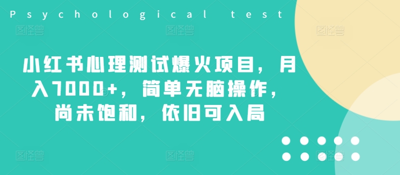 小红书心理测试爆火项目，月入7000+，简单无脑操作，尚未饱和，依旧可入局-点子口袋网