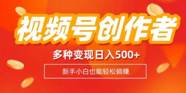 视频号创作者计划，多种变现方式，日入500+【内附1080g视频素材】-点子口袋网