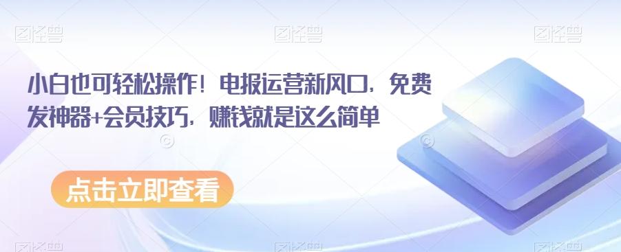 小白也可轻松操作！电报运营新风口，免费发神器+会员技巧，赚钱就是这么简单-点子口袋网