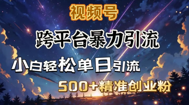 跨平台暴力引流，私域完美闭环，日引500+精准创业粉-点子口袋网