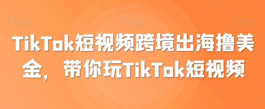 TikTok短视频跨境出海撸美金，带你玩TikTok短视频-点子口袋网