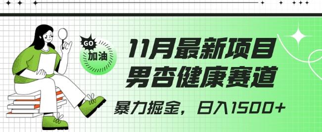最新项目，男杏健康赛道，暴力掘金，日入1500+-点子口袋网