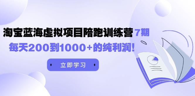 (9541期)黄岛主《淘宝蓝海虚拟项目陪跑训练营7期》每天200到1000+的纯利润-点子口袋网