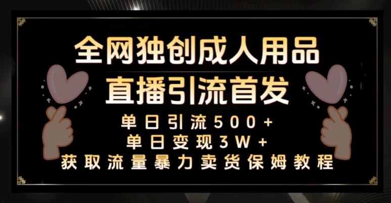 全网独创真人主播+无人直播单日引流500+，橙人用品暴力卖货单日变现3W+保姆似教学2.0【揭秘】-点子口袋网