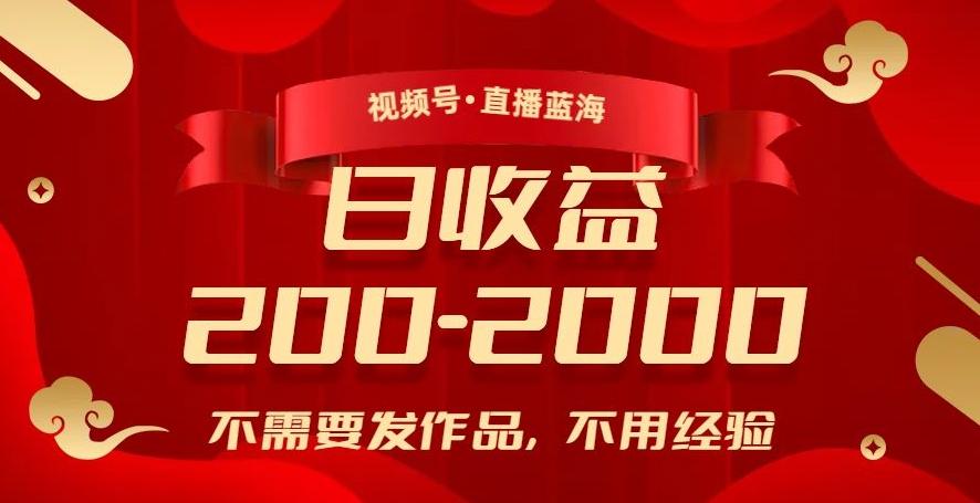 视频号直播蓝海，不需要发作品，不用经验，日入200-2000+【揭秘】-点子口袋网