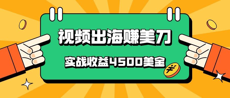 国内爆款视频出海赚美刀，实战收益4500美金，批量无脑搬运，无需经验直接上手-点子口袋网