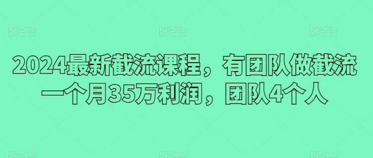 2024最新截流课程，有团队做截流一个月35万利润，团队4个人-点子口袋网