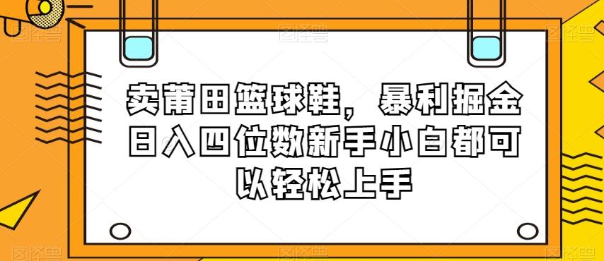 卖莆田篮球鞋，暴利掘金日入四位数新手小白都可以轻松上手【揭秘】-点子口袋网