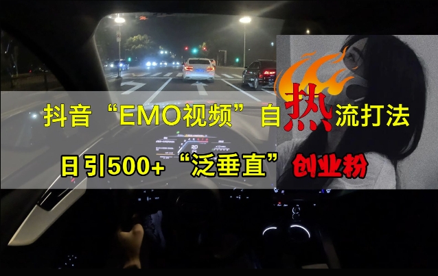 抖音EMO视频自热打法，日引500+“泛垂直”创业粉-点子口袋网
