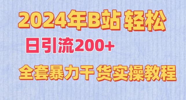 2024年B站轻松日引流200+的全套暴力干货实操教程【揭秘】-点子口袋网