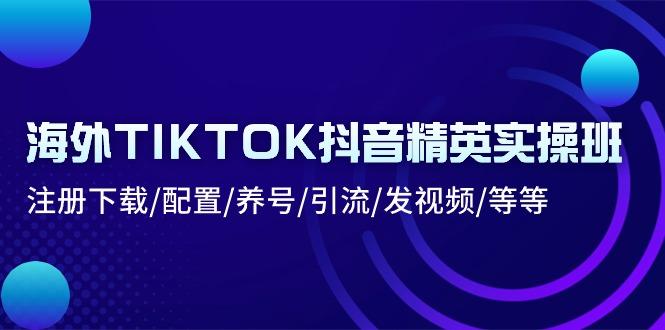 海外TIKTOK抖音精英实操班：注册下载/配置/养号/引流/发视频/等等-点子口袋网
