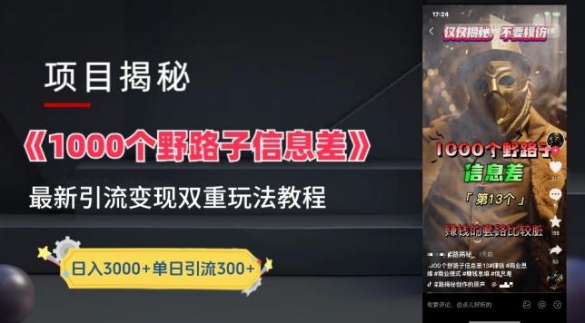 一千个野路子信息差最新玩法教程-变现+引流的玩法具体拆解【揭秘】-点子口袋网