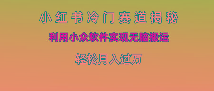 小红书冷门赛道揭秘,利用小众软件实现无脑搬运，轻松月入过万-点子口袋网