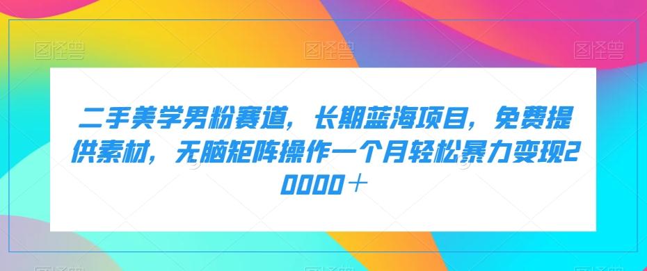 二手美学男粉赛道，长期蓝海项目，无脑矩阵操作一个月轻松暴力变现20000＋-点子口袋网