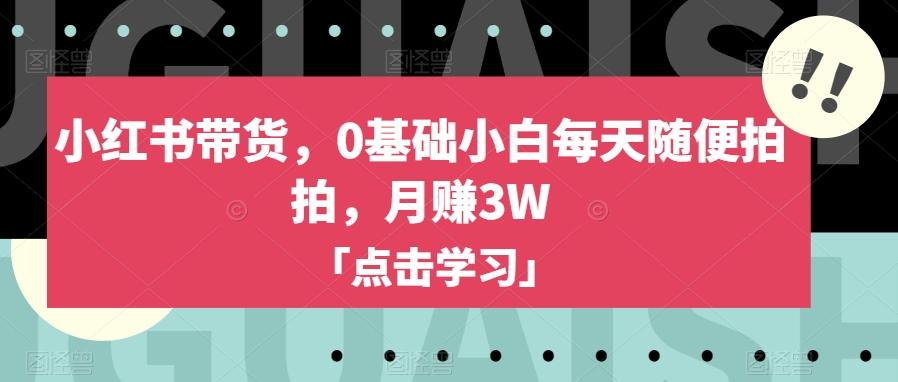 小红书带货，0基础小白每天随便拍拍，月赚3W【揭秘】-点子口袋网