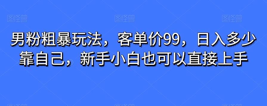 男粉粗暴玩法，客单价99，日入多少靠自己，新手小白也可以直接上手-点子口袋网