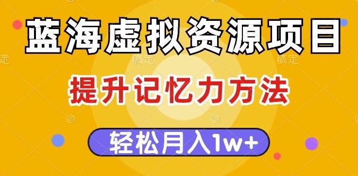 蓝海虚拟资源项目，提升记忆力方法，多种变现方式，轻松月入1w+【揭秘】-点子口袋网