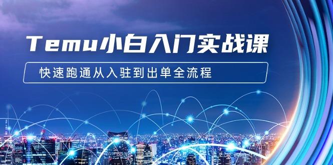 (9295期)Temu小白入门实战课：跨境拼多多电商培训 快速跑通从入驻到出单全流程-12节-点子口袋网