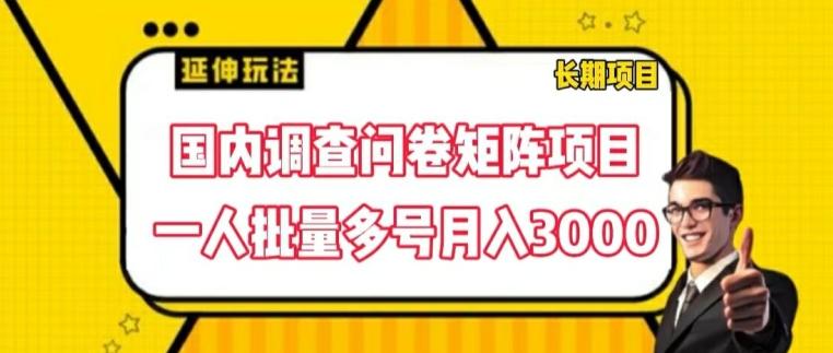 国内调查问卷矩阵项目，一人批量多号月入3000【揭秘】-点子口袋网