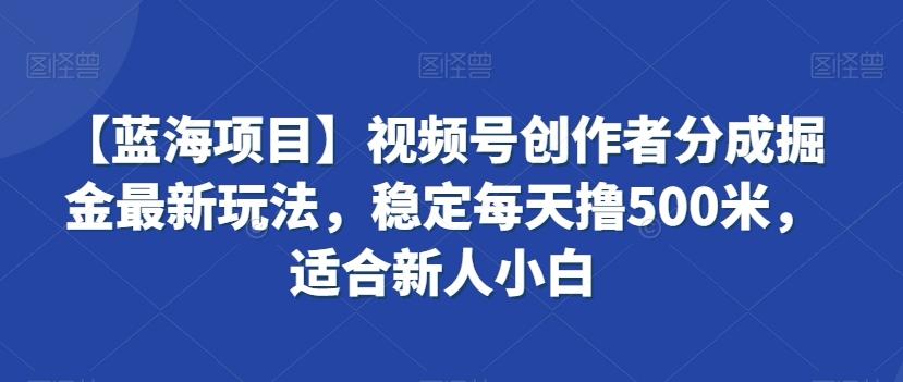 【蓝海项目】视频号创作者分成掘金最新玩法，稳定每天撸500米，适合新人小白【揭秘】-点子口袋网