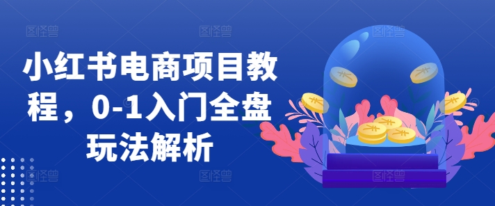 小红书电商项目教程，0-1入门全盘玩法解析-点子口袋网