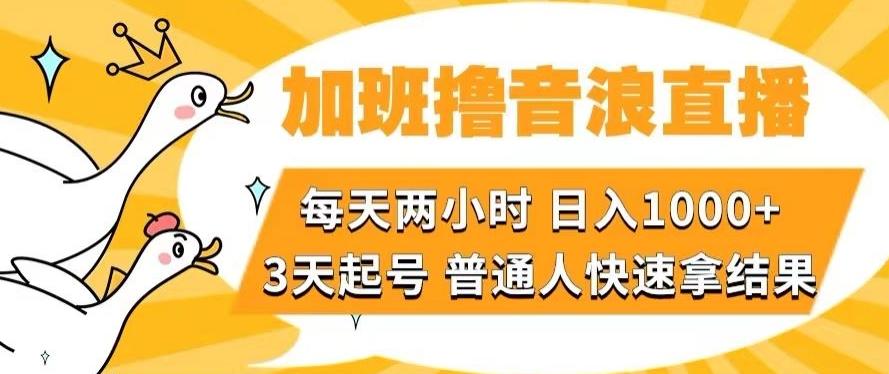 加班撸音浪直播，每天两小时，日入1000+，直播话术才3句，3天起号，普通人快速拿结果【揭秘】-点子口袋网